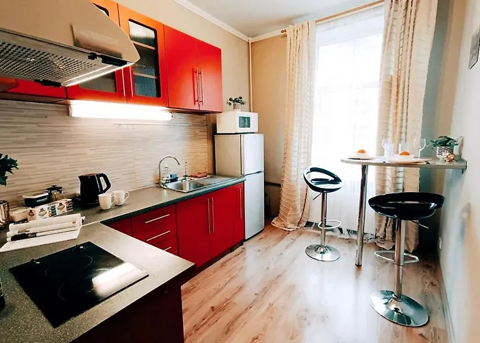 Riga Central Street One Room Apartment